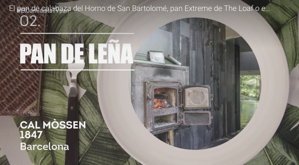 cal mossen pa llenya